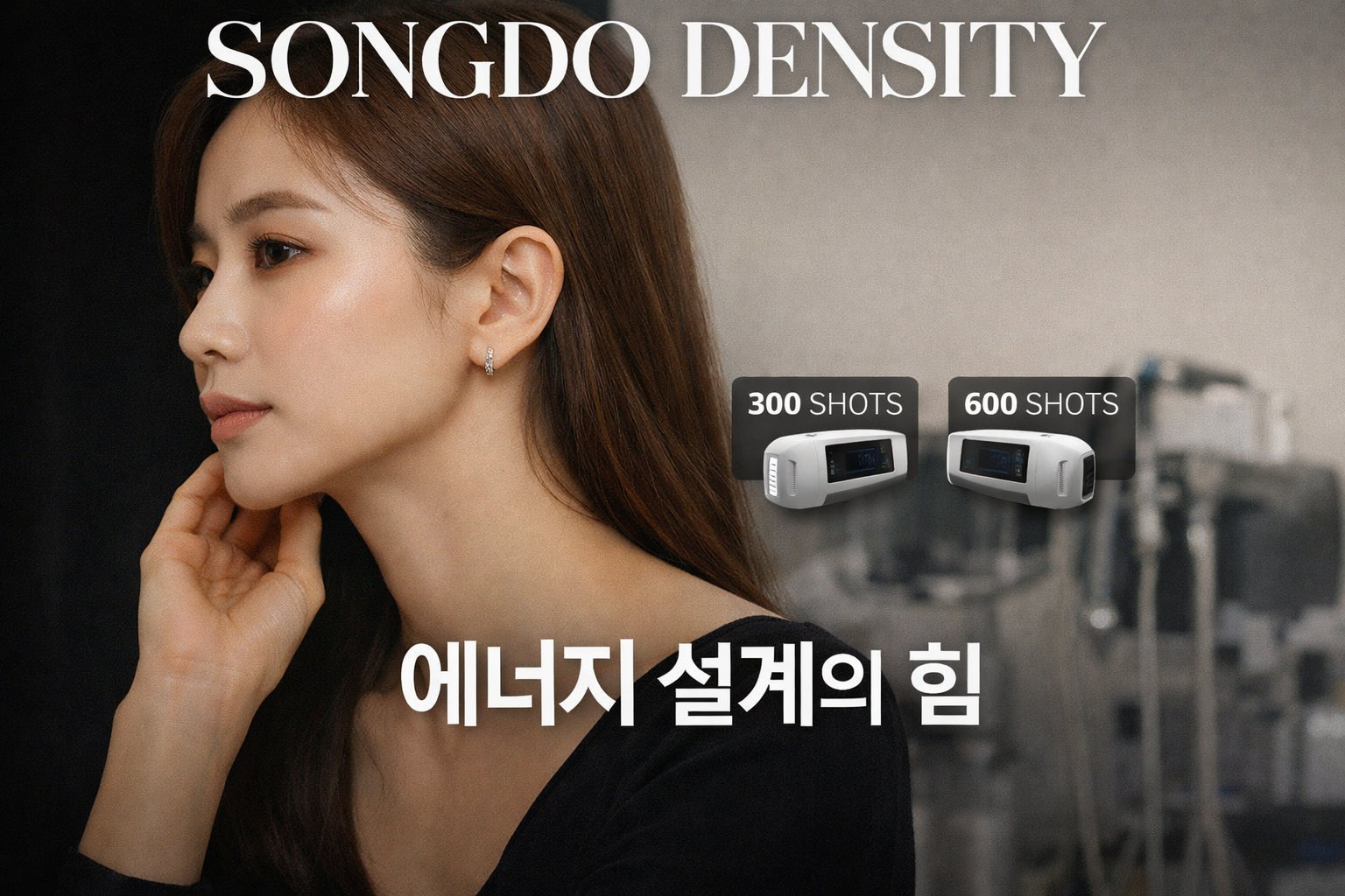 송도 덴서티 가격