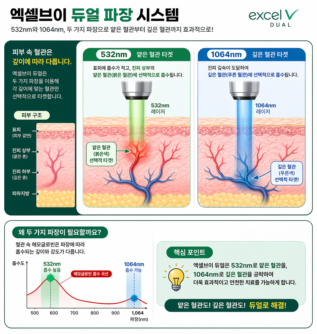 엑셀브이 듀얼 파장 시스템 다이어그램. 피부 단면도를 보여주고, 532nm 파장은 얕은 혈관(붉은색)을, 1064nm 파장은 깊은 혈관(푸른색)을 타겟하는 모습을 시각적으로 비교 설명.